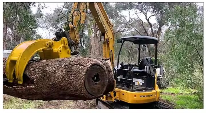 6T Excavator Dual-cylinder Hydraulic Grapple - 图片 2